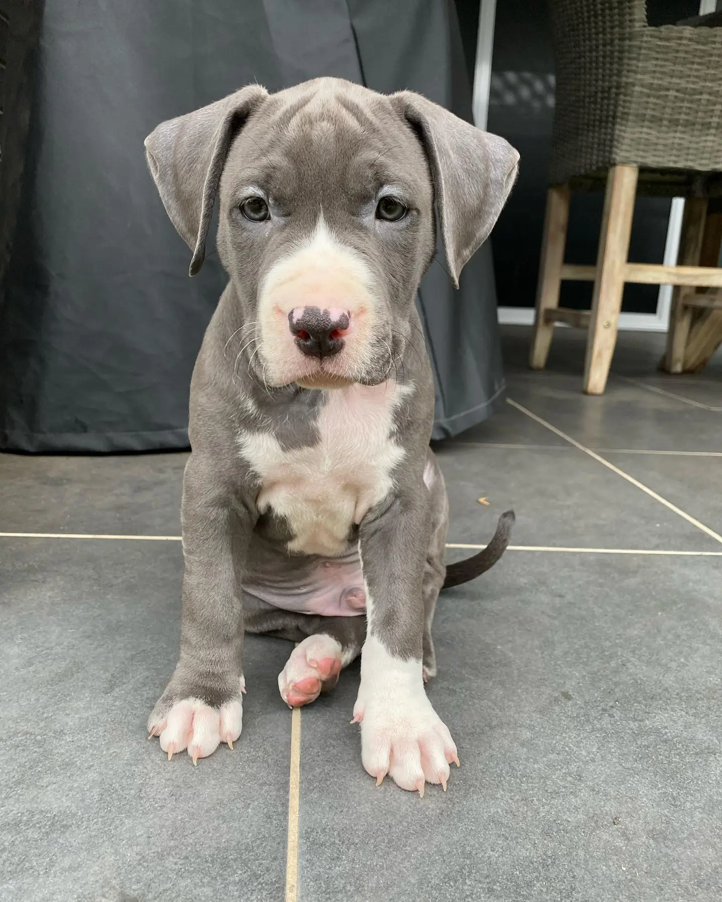 Bane