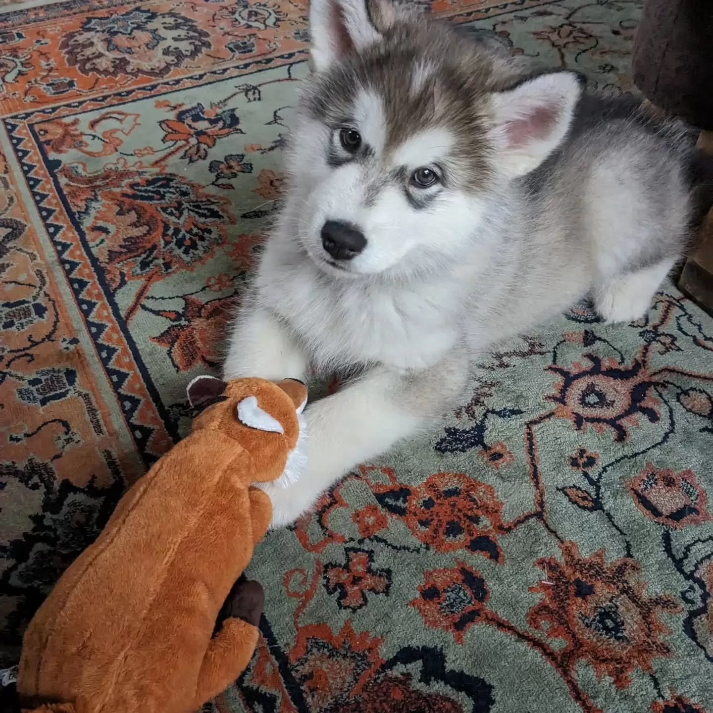 Benny