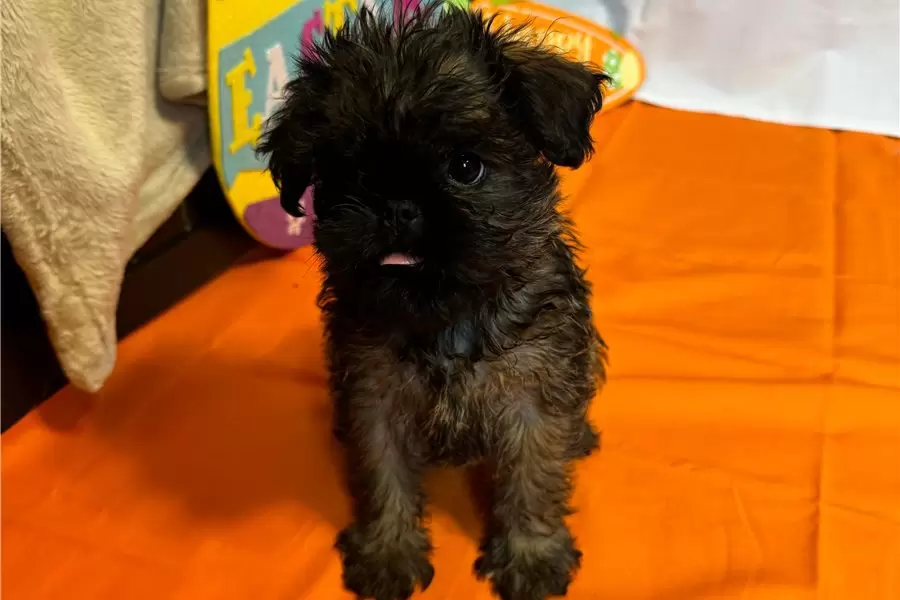 Edgar