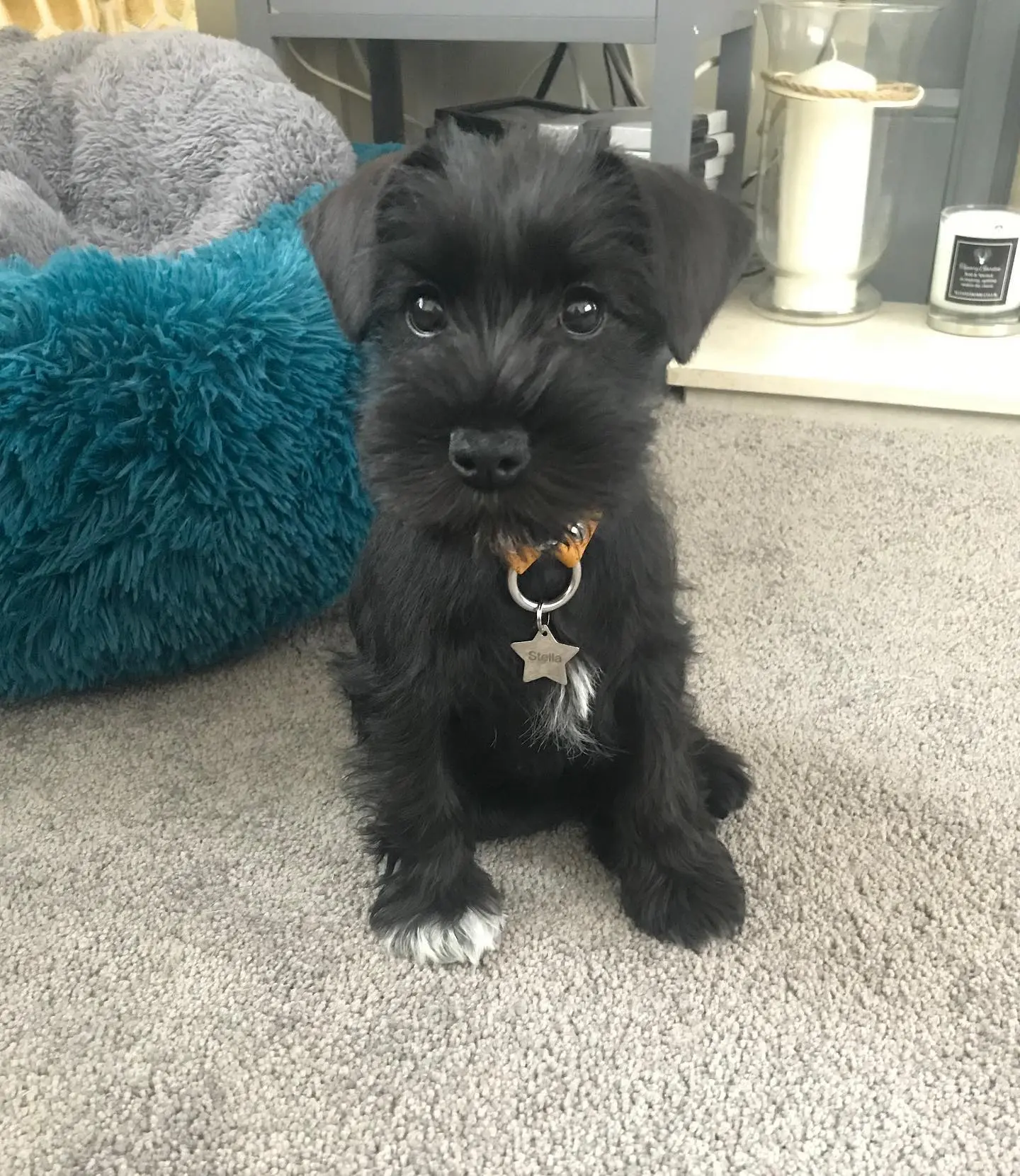 Ella