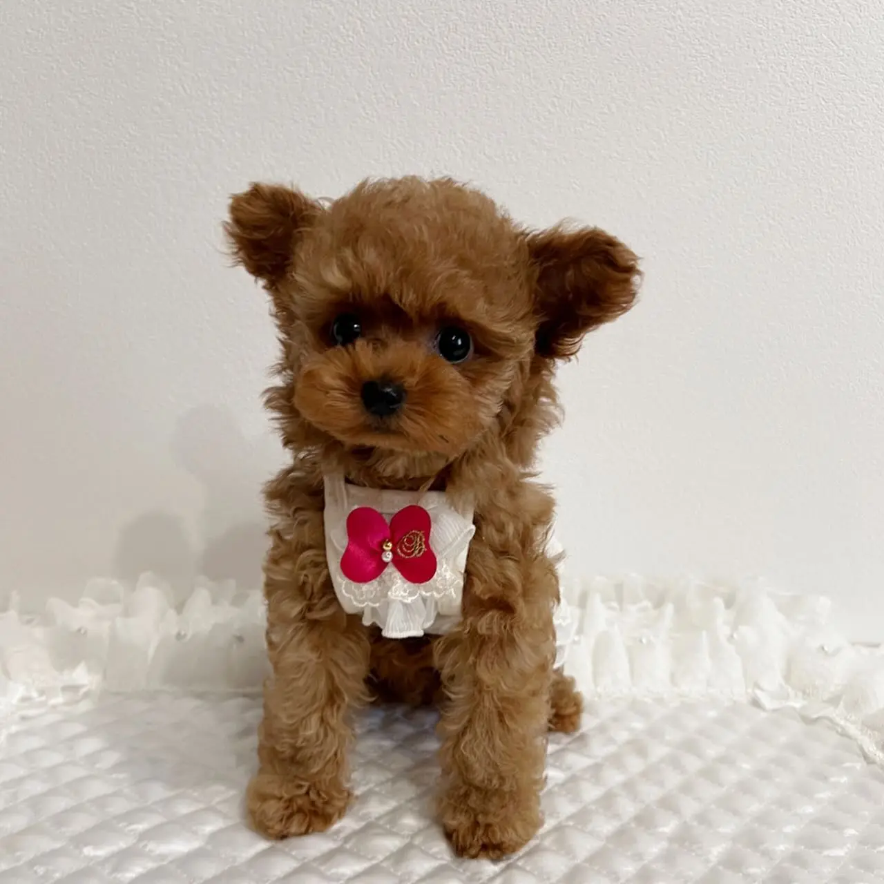 Finn