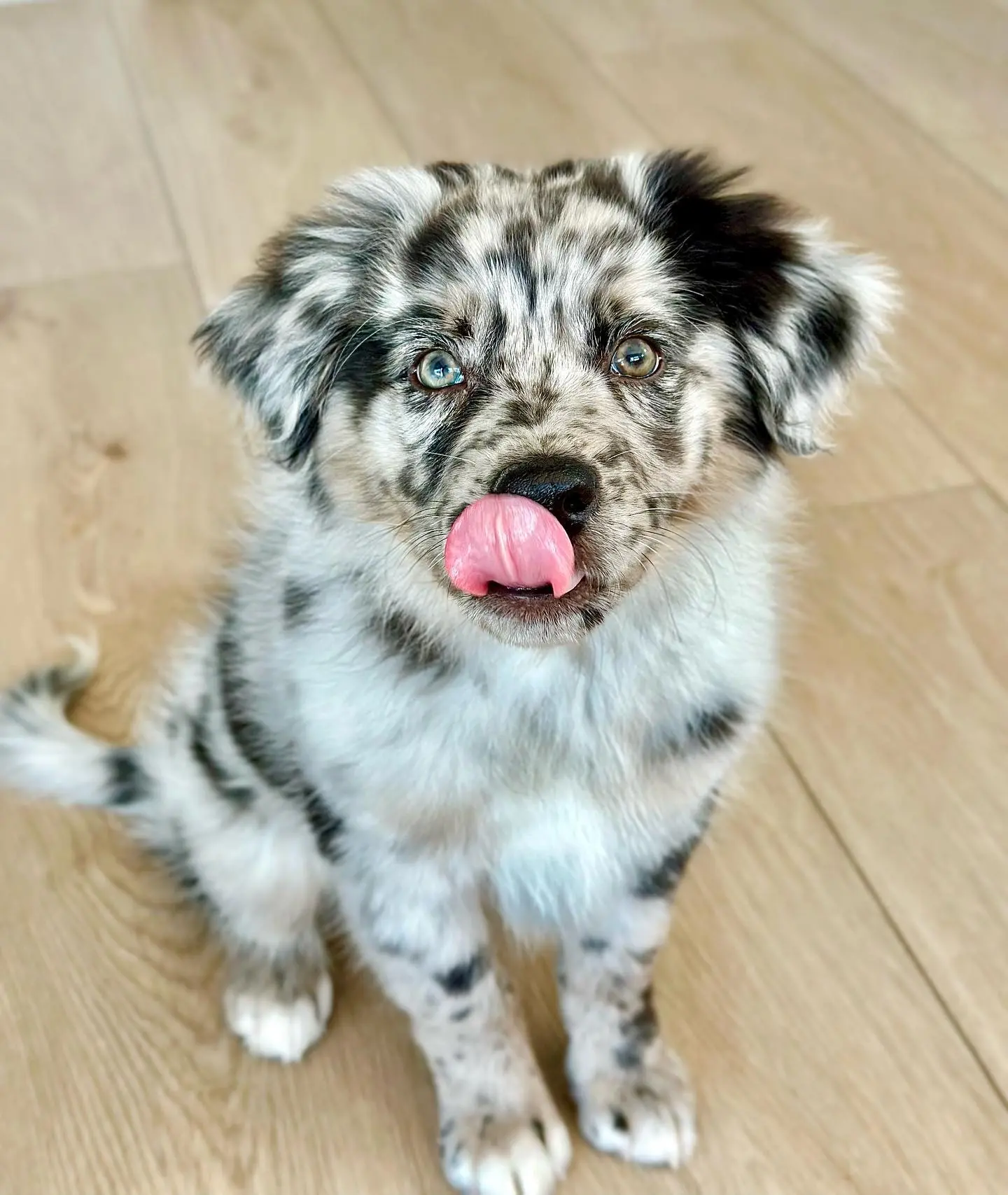Kona