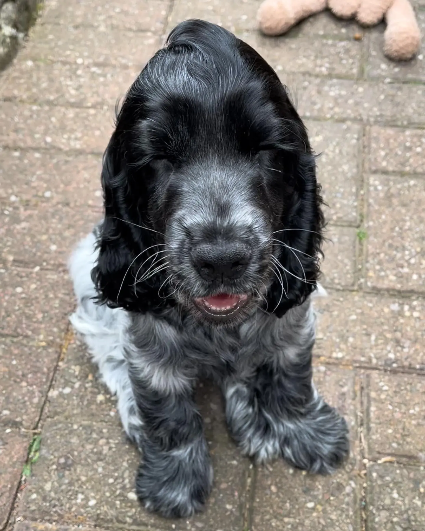 Lennie