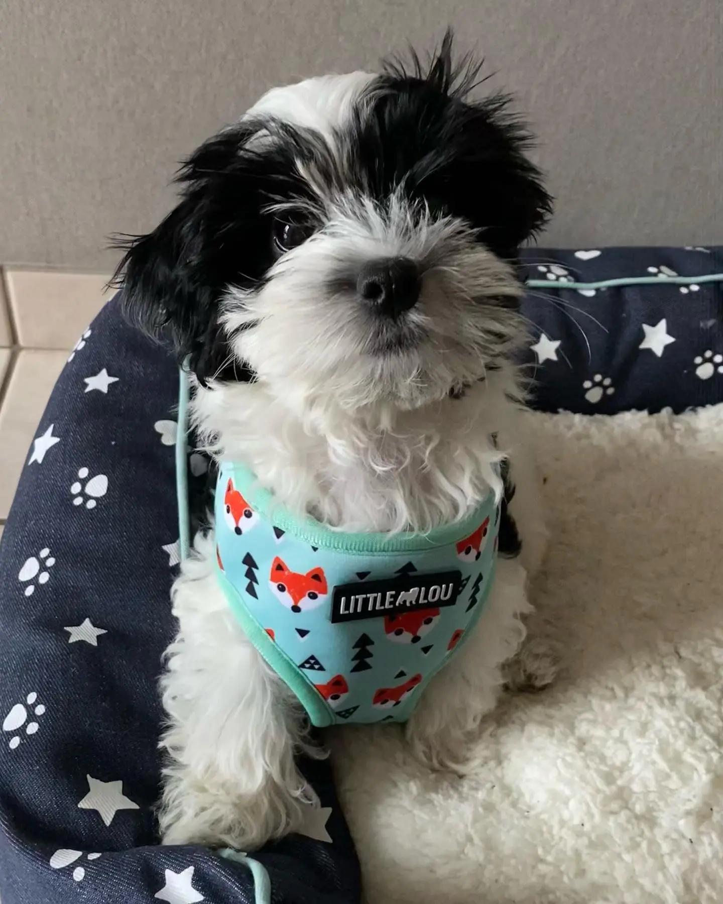 Minnie Weiblich