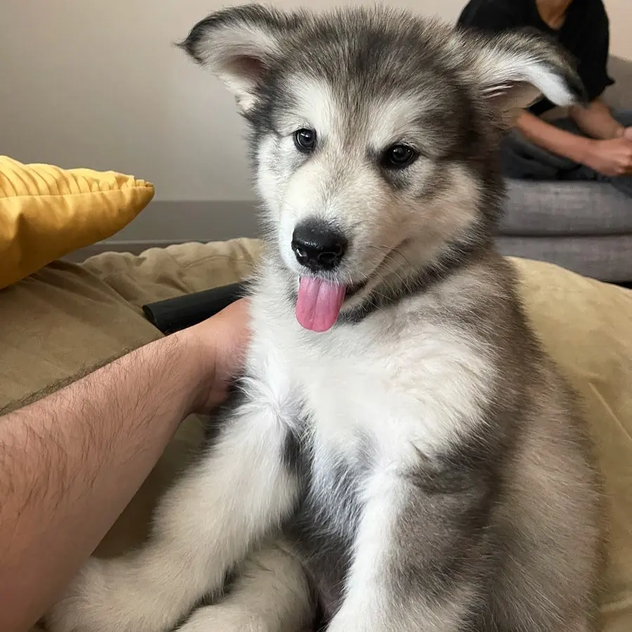 Morty