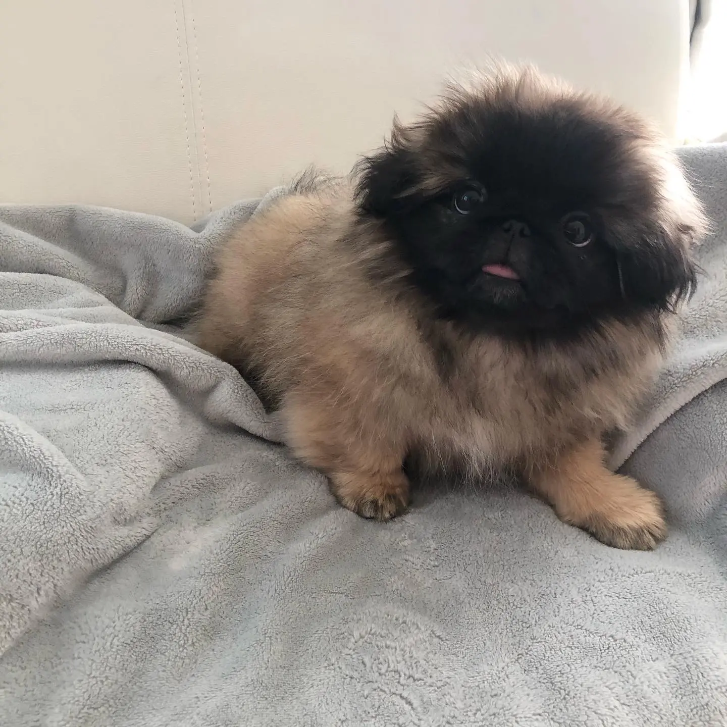 Peki