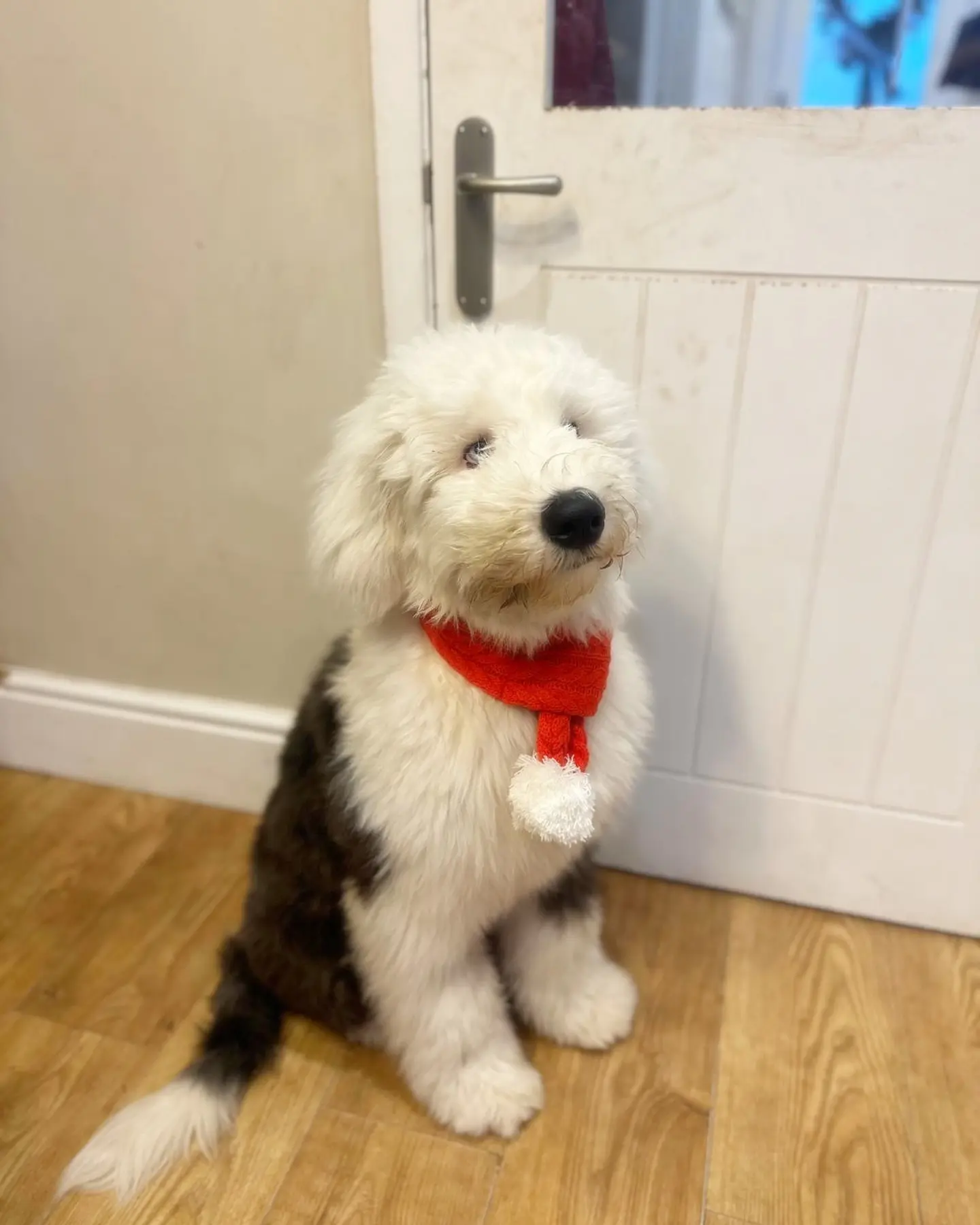 Toby Männlich