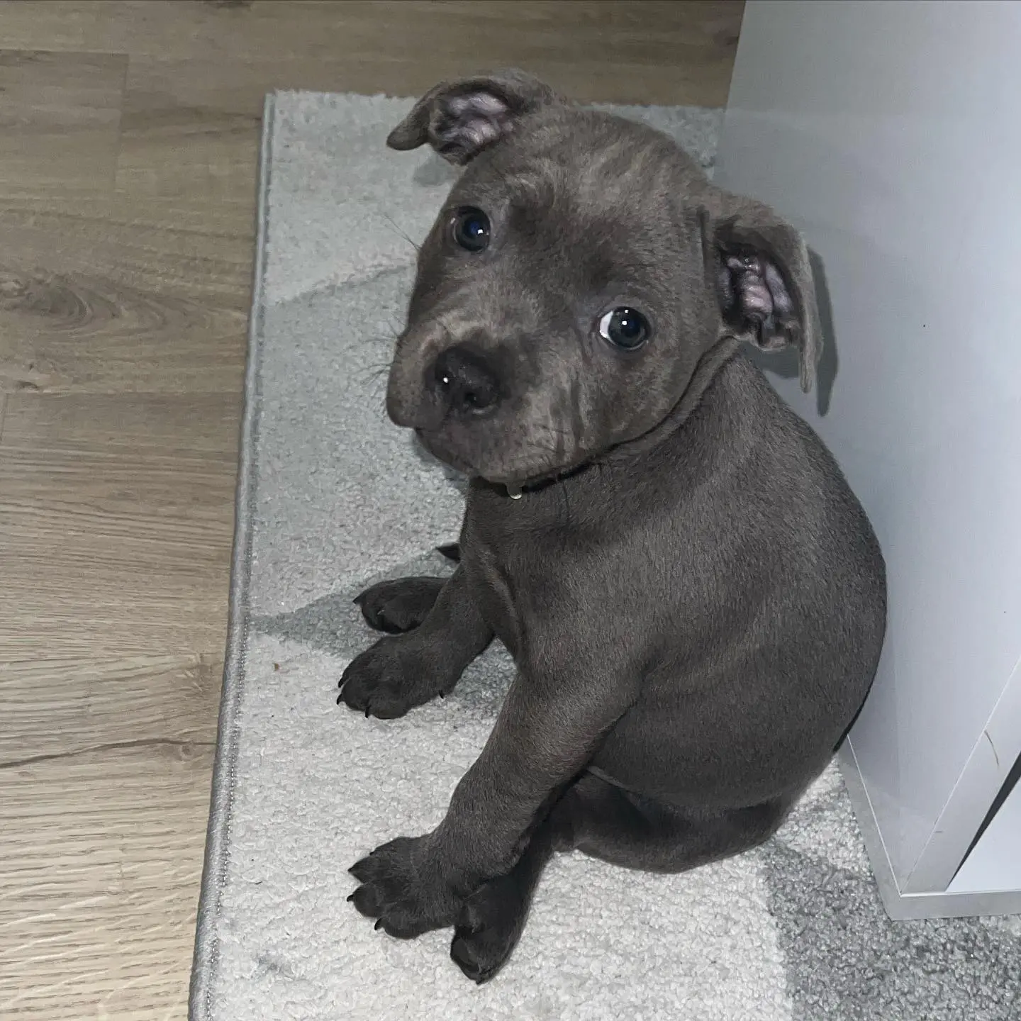 Winnie