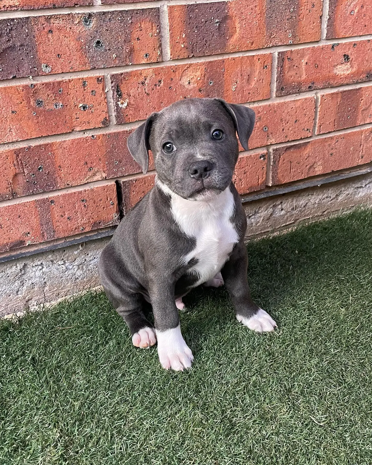 Zeke